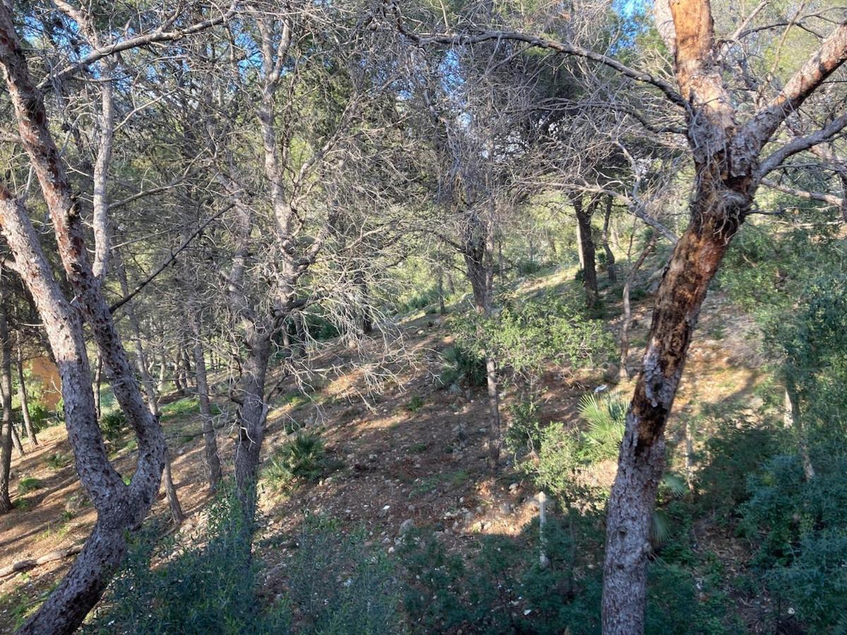 Apartamento Con Vistas Al Mar Castelldefels Exteriör bild